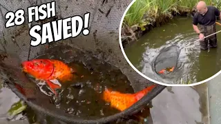 Rescuing Suffering Fish From An Abandoned Pond!