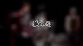 The Dilenquents - Lady Killers