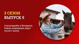 Агроусадьбы в Беларуси. Какие изменения ждут после 1 июля