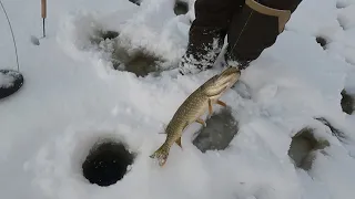 НЕПОГОДА НЕ ПОМЕХА РЫБАЛКЕ / AND IT SHOULDN'T BE CAUGHT, BUT WE CAUGHT IT