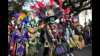 Zulu Parade Mardi Gras - 2019 @ New Orleans