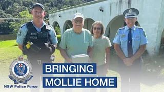 Bringing Mollie home - NSW Police Force