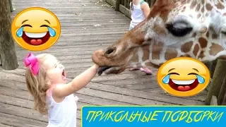 ПРИКОЛЫ 2017 Ноябрь #4 угар прикол ржака до слез   ФЕЙЛЫ И ПРАНКИ