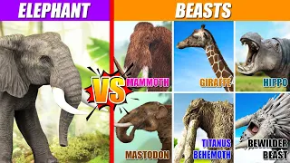 Elephant vs Beasts | SPORE