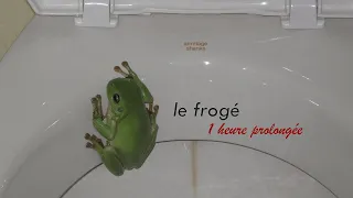 le frogé 1 hour loop