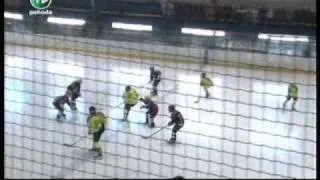 HK Bulldogs - HK Levice