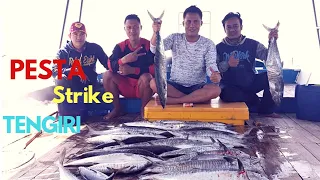 Strike Tenggiri Babon 25, 30 Kg