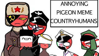 Annoying Pigeon Meme (Countryhumans)