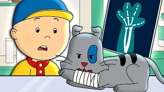 NEW! | Caillou and Gilbert at the Vet | Caillou's New Adventures