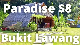 Bukit Lawang Tropical Paradise Hotels from $8 Sumatra Indonesia