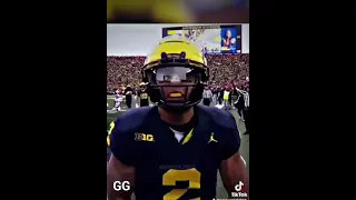 Michigan Wolverines Hype Video | Hail to the Victors | Rose Bowl | College Football