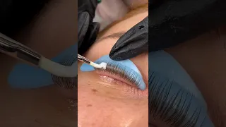 lash lift #lashes #shorts #youtubeshorts #youtubecreator #beauty