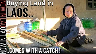 Buying land in Laos | Village life on the Mekong | Now in Lao
