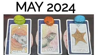 Pick• MAY 2024 PREDICTION ➡️ LOVE CAREER LIFE MESSAGES 🕊❤️💌🌎