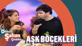 Aşk Böcekleri - Dikkat Şahan Çıkabilir