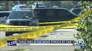 Child dies after being struck by car