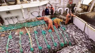 Big Net fishing, Trawler fishing in the Sea - How Fishermen Catch Hundreds Tons of Fish in The Sea