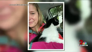 Cat missing following Juneau flood found safe after 26 days