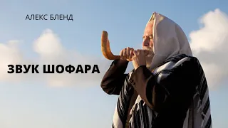 Звук Шофара. Навстречу Дню Трубления