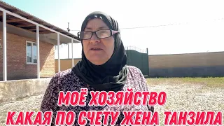 Моё хозяйство | какая по счету жена Танзила