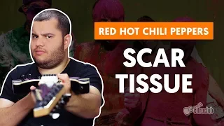 SCAR TISSUE - Red Hot Chili Peppers (aula de guitarra)