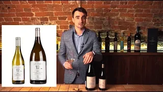 Дегустация белого вина DODICI VERMENTINO 2017 года