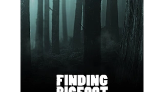 Нашёл туриста - Finding Bigfoot