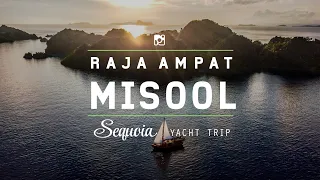 Sailing to Misool - Raja Ampat with Sequoia yacht