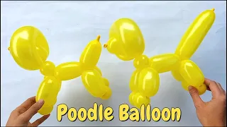 How to make poodle balloon. How to make balloon animals. balloon animals for beginners