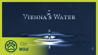 Vienna's Water - Go Wild