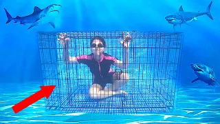 $10,000 اخر شخص يخرج من القفص تحت الماء يربح