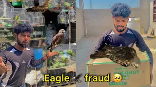 Eagle 🦅fraud in birds market 😨 ( Mini zoo per baaz )