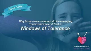 What is the Window of Tolerance and its role in managing anxiety and trauma?