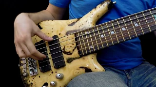 Scale the Summit - Oort Cloud by Mark Michell (bass Playthrough)