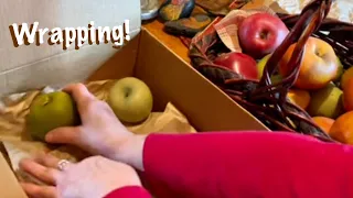 ASMR Wrapping Apples, Eggs, & figurines! (No talking version)  Special crinkly packing paper!