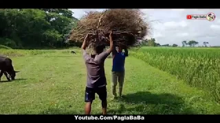 Best Funny Videos Amazing Funny Videos 2018 Try Not To Laugh Pagla BaBa