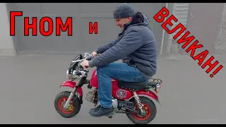 Гном и ВЕЛИКАН