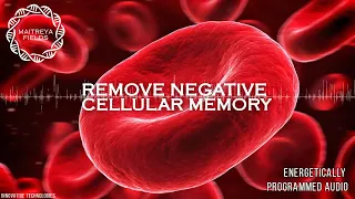 Remove Negative Cellular Memory / Energetically Programmed Audio / Maitreya Reiki™