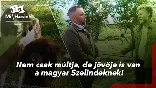 Nem csak múltja, de jövője is van a magyar Szelindeknek