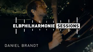 Elbphilharmonie Sessions | Daniel Brandt & Eternal Something - Flamingo