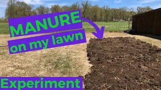 MANURE on lawn - spring experiment (2019)