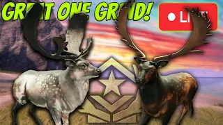 *NEW UPDATE TODAY* Lets Create A Trophy Factory & Get The Great One Fallow Deer! Call of the wild