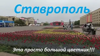 Ставрополь город фестивалей, цветов и лесов. Прогулка по центру города.