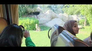 Dubai Safari Park | Safari Journey |Bus Tour | #dubaisafaripark #4k #jungle