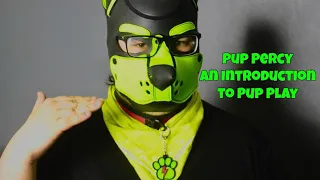 Pup Play | An Introduction!