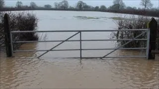 Flooded fields on our farm