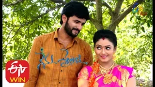 Nenu Sailaja | 19th  November 2019  | Full Episode 180 |  ETV Plus