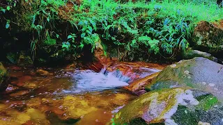Soothing River Sounds: Relaxation and Stress Relief
