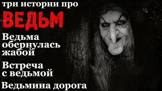 Истории на ночь (3в1): 1.Ведьма обернулась жабой, 2.Встреча с ведьмой, 3.Ведьмина дорога