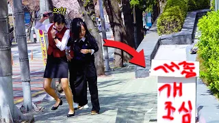 Angry Dog in a Box Prank. South Korea